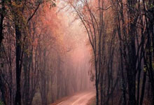 陽(yáng)普(pǔ)医疗子公司湖南(nán)陽(yáng)普(pǔ)医疗器械注册變(biàn)更(gèng)，取(qǔ)消委托生产