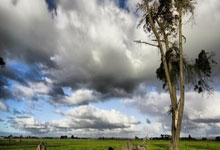 全(quán)国职业卫生(shēng)技能竞赛太原(yuán)選(xuǎn)手获獎(jiǎng)