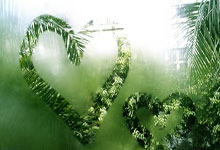 第三届亚洲青(qīng)年運(yùn)動(dòng)会在(zài)巴林开幕