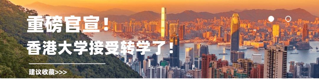 有奖征名！留学圈顶流潮玩“小贵贵”英文名由你来定