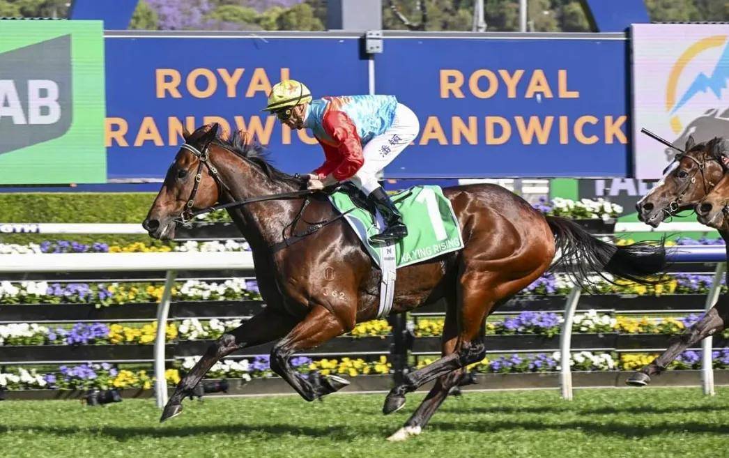 【盘点】中国赛驹赢下几场？2025全球国际赛马节暨重磅一级赛视频集锦