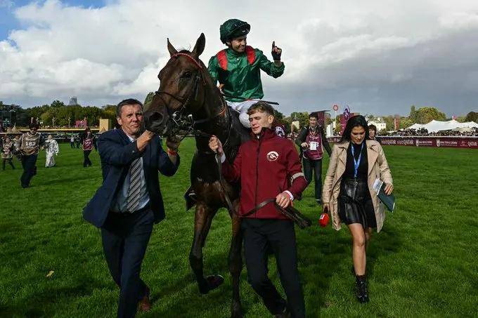 【盘点】中国赛驹赢下几场？2025全球国际赛马节暨重磅一级赛视频集锦