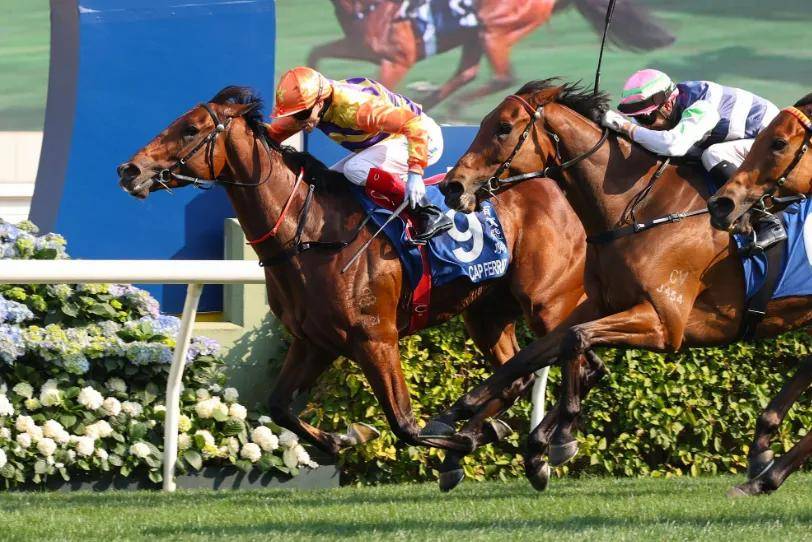 【盘点】中国赛驹赢下几场？2025全球国际赛马节暨重磅一级赛视频集锦