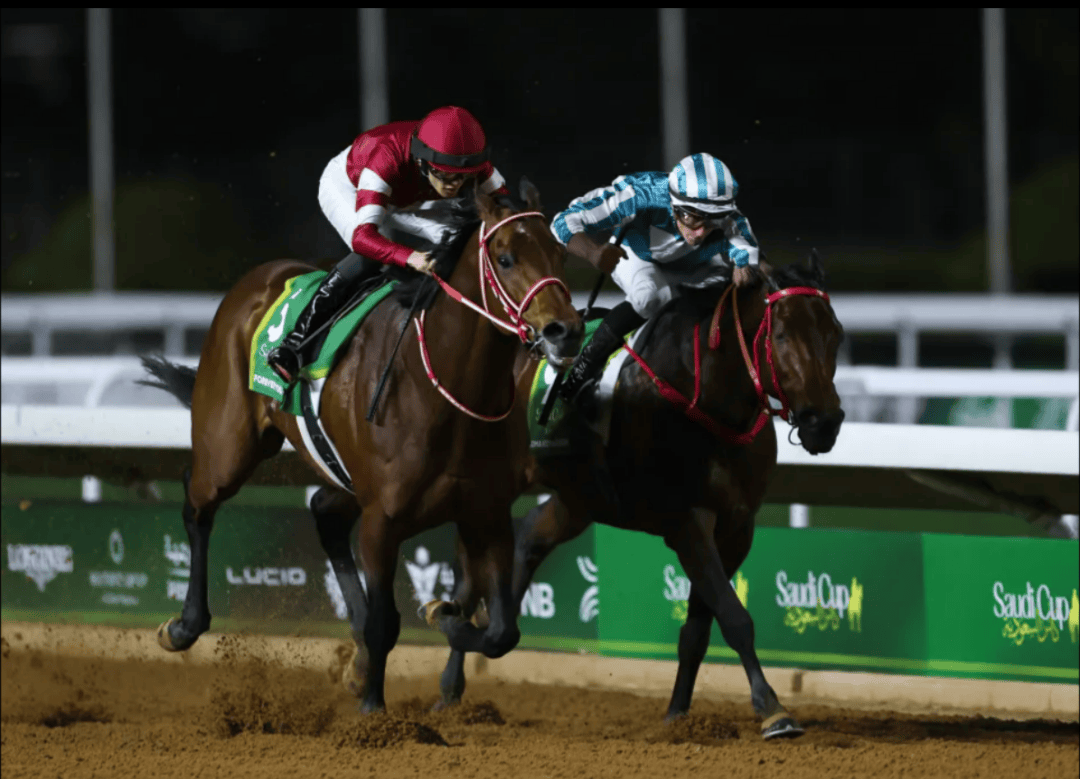 【盘点】中国赛驹赢下几场？2025全球国际赛马节暨重磅一级赛视频集锦